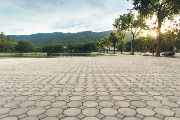 Best Professional Driveway Pavers  in Petaluma, CA